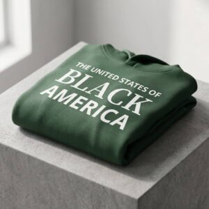 Premium heavyweight black Heritage Armor hoodie from the United States of Black America collection, displayed as a clean flat-lay asset on a raw concrete architectural pillar template block